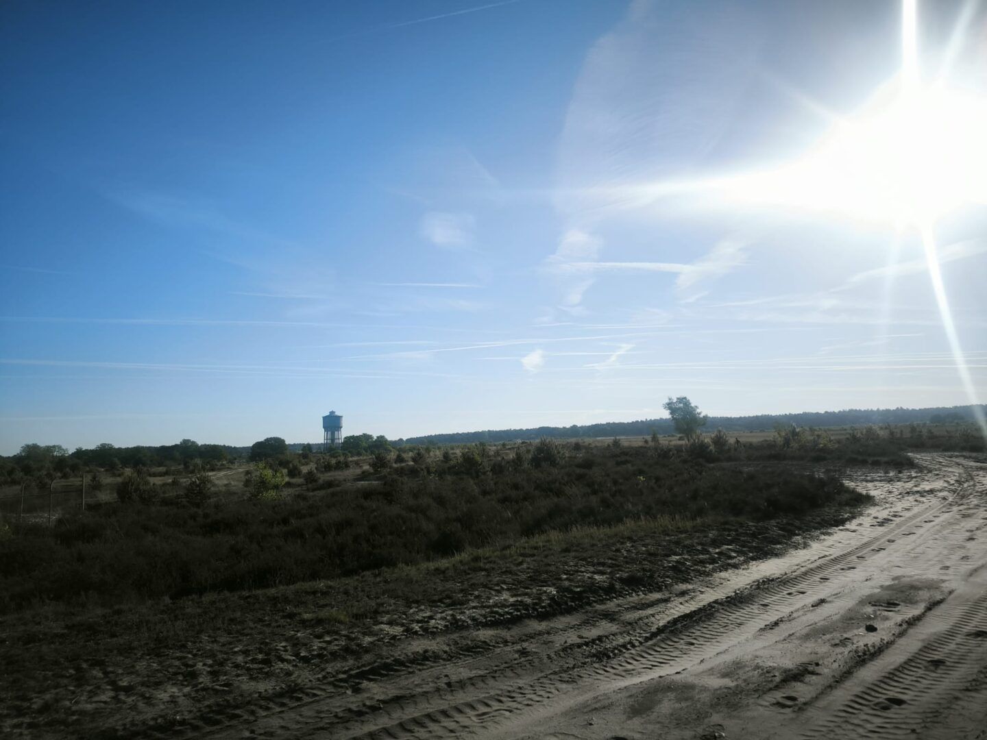 1ste wandeltocht Vlamdeling groot succes