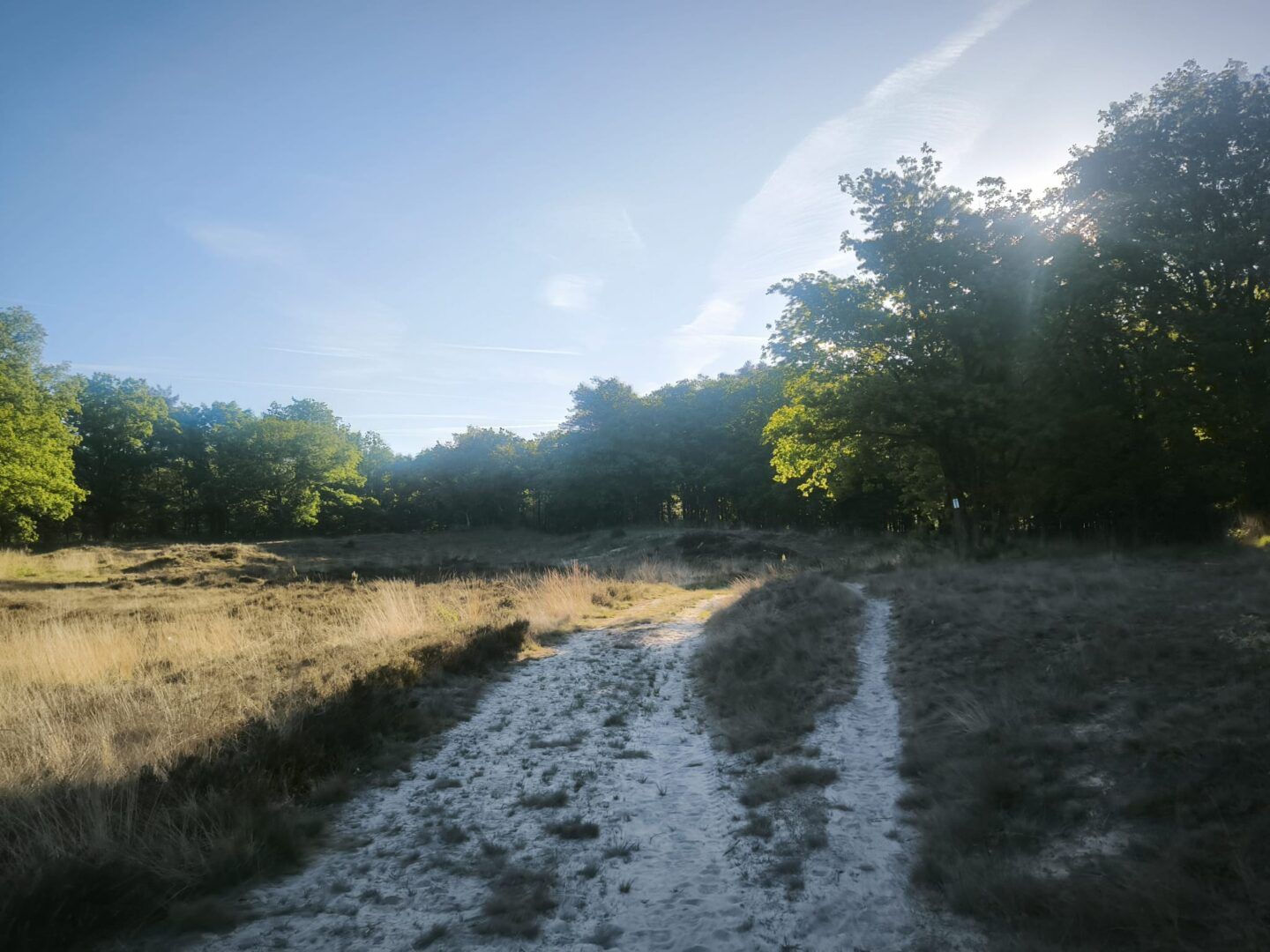 1ste wandeltocht Vlamdeling groot succes