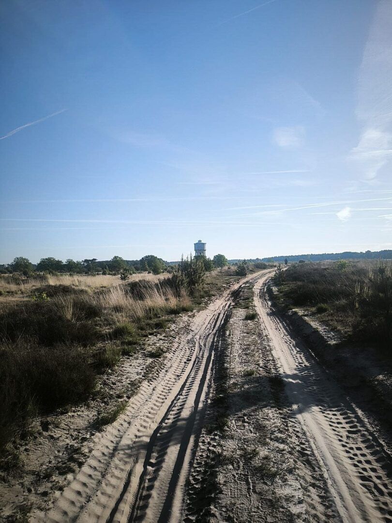 1ste wandeltocht Vlamdeling groot succes