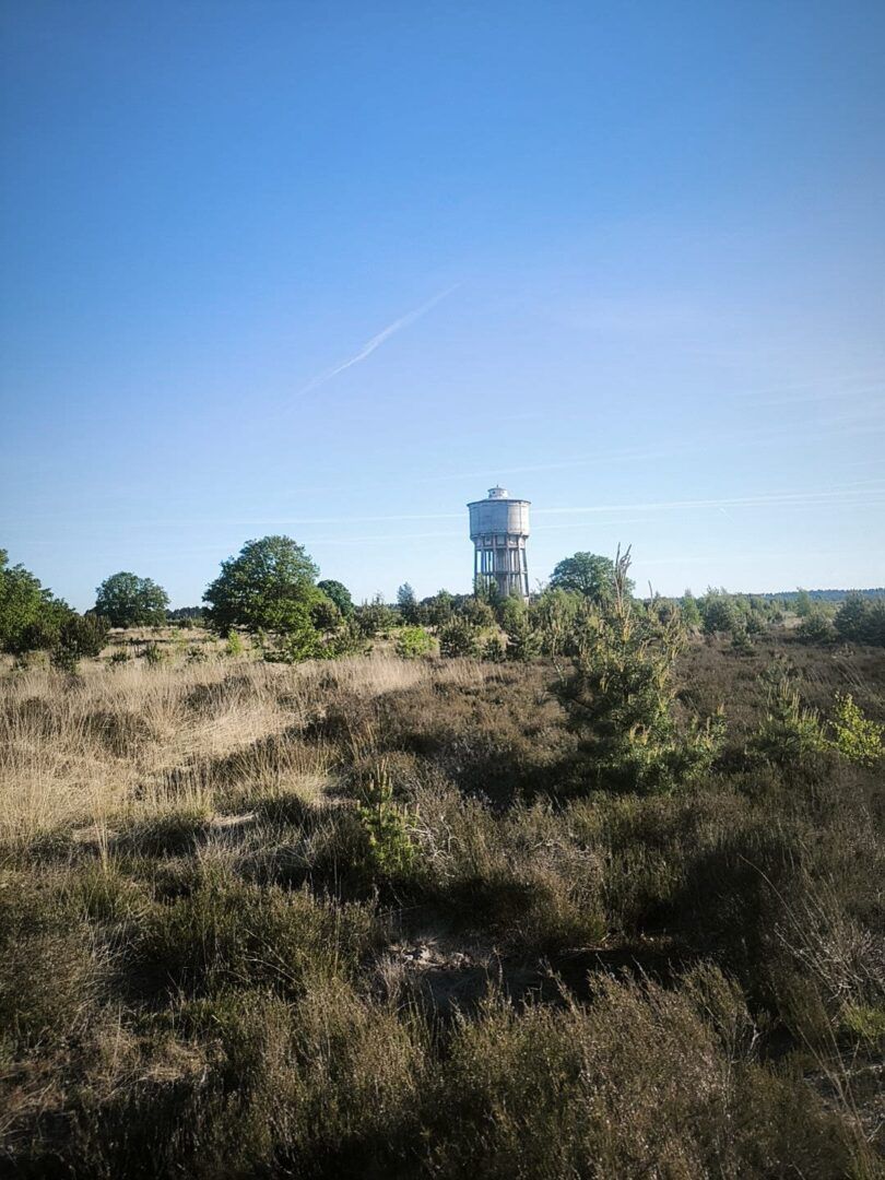 1ste wandeltocht Vlamdeling groot succes