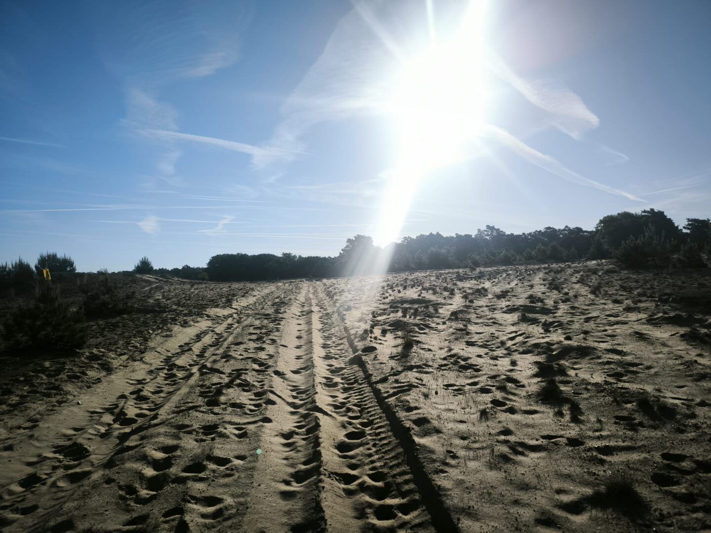 1ste wandeltocht Vlamdeling groot succes