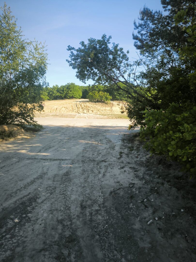 1ste wandeltocht Vlamdeling groot succes