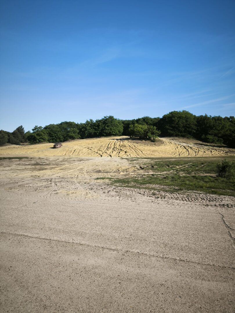 1ste wandeltocht Vlamdeling groot succes