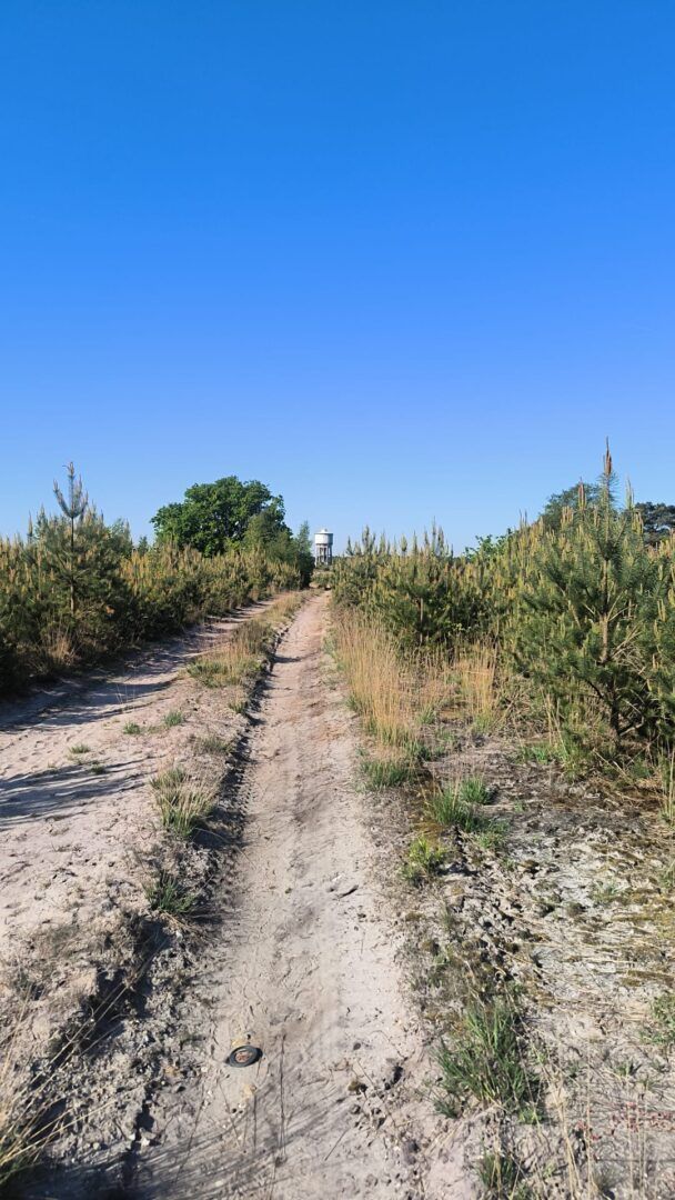 1ste wandeltocht Vlamdeling groot succes