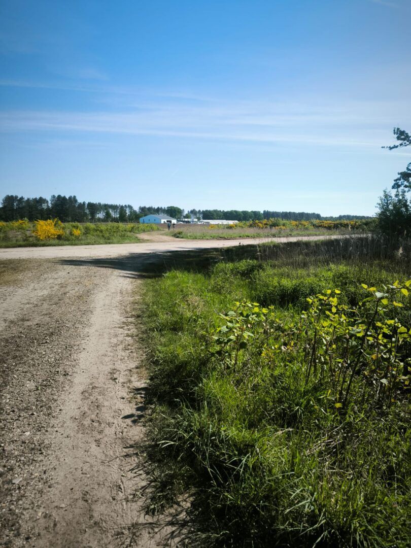 1ste wandeltocht Vlamdeling groot succes