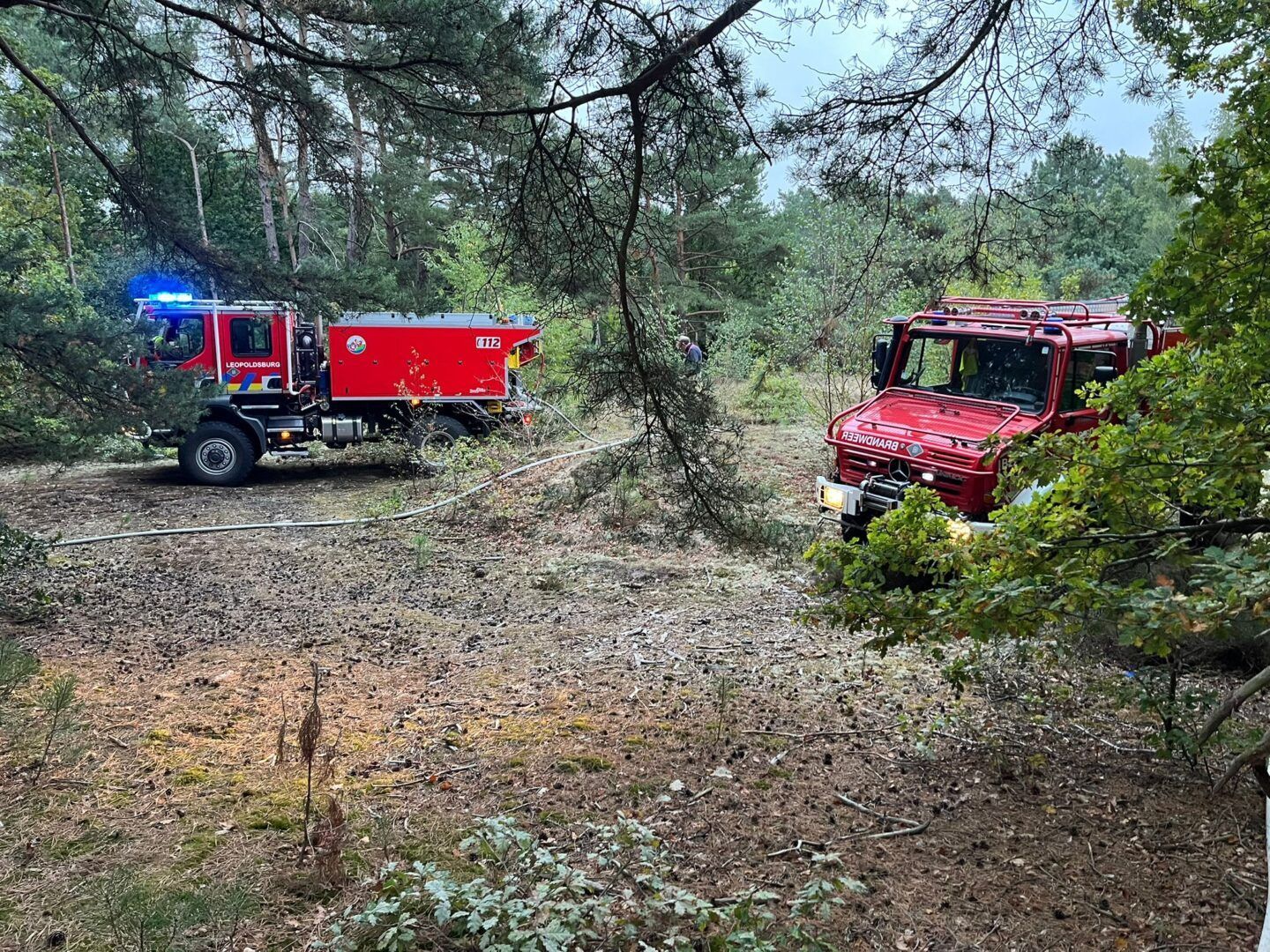 Bosbrand Hechtel-Eksel